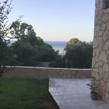 Tamarix * Denia